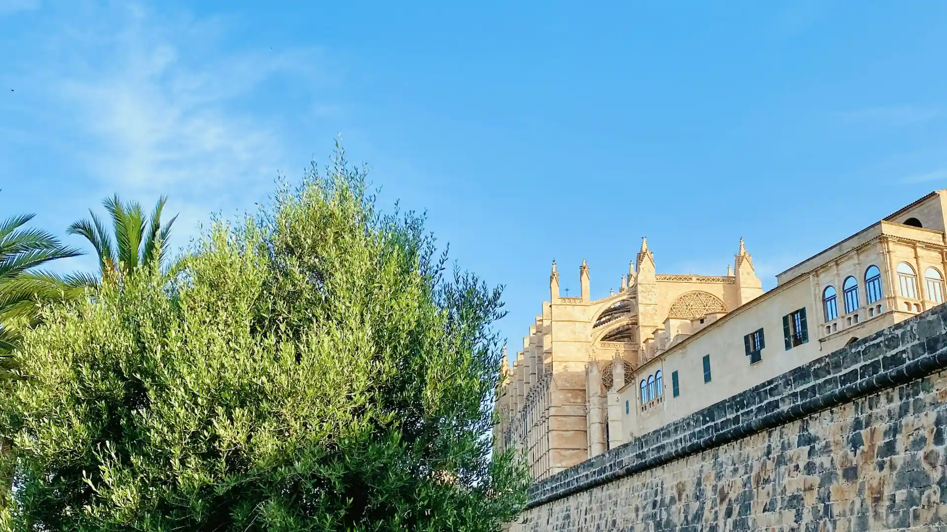 La Seu vom Parc de la Mar