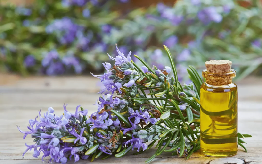 Rosemary essential oil as a remedy for protection and strength in stressful times Coaching with Christine Rudolph