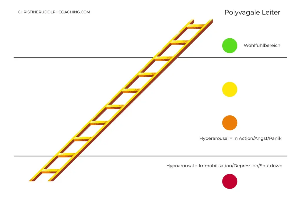 Polyvagale Leiter