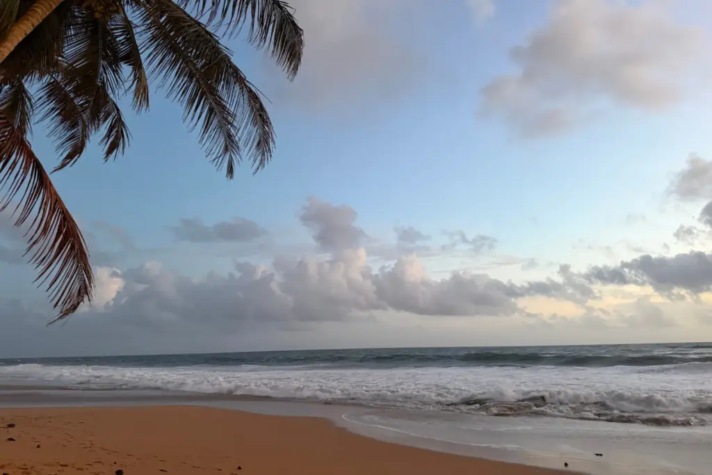 Strand mit Wellen unter blauem Morgenhimmel, gerahmt von einer Palme