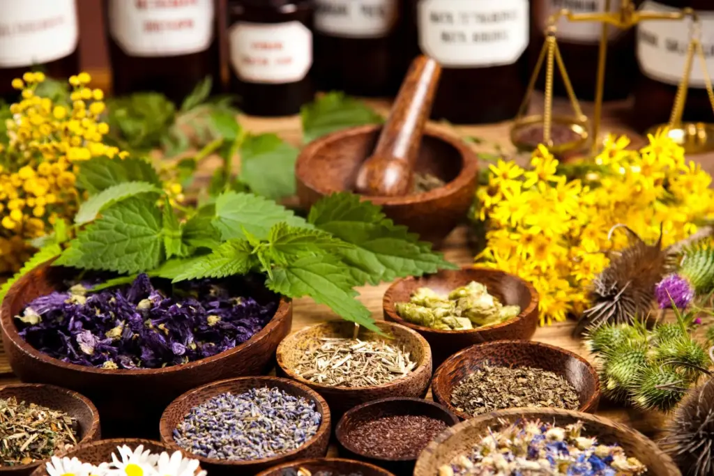 Ayurvedische Kräuter